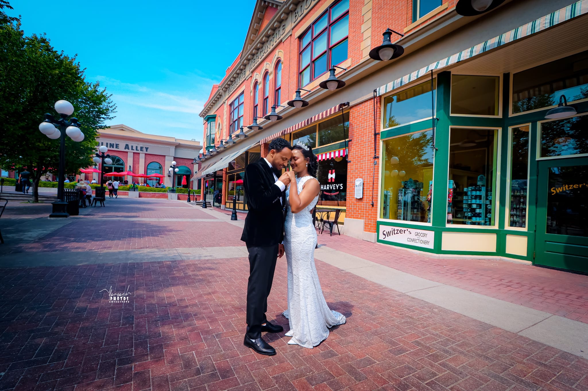 Professional photography showcase